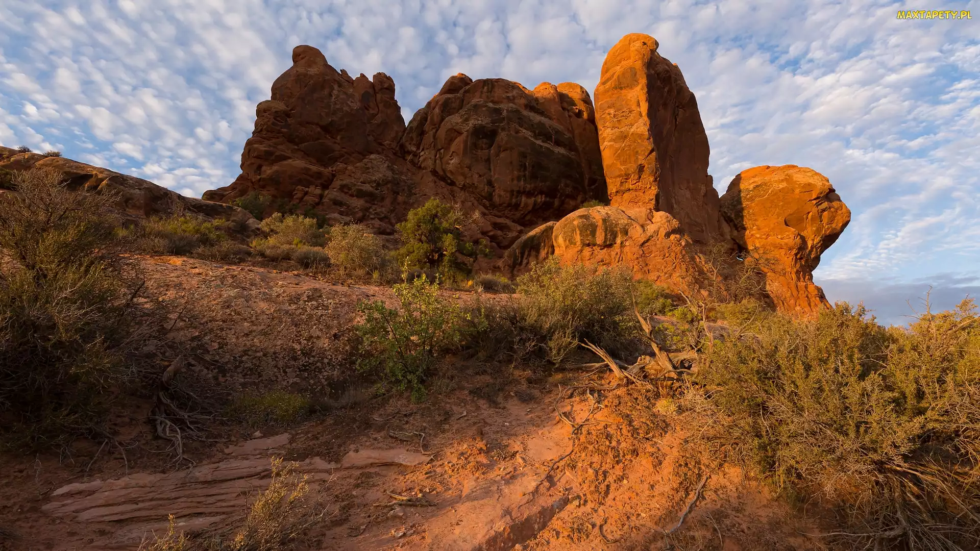 Utah, Park Narodowy Arches, Krzewy, Stany Zjednoczone, Turret Arch, Skały, Formacje