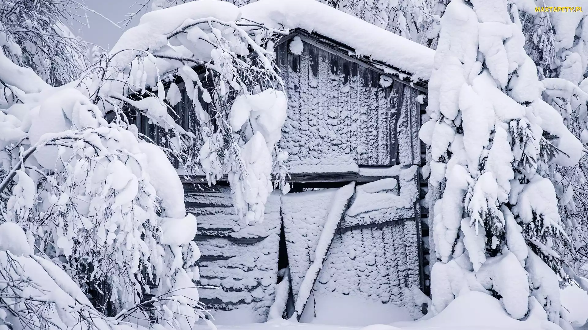 Dom, Szopa, Ośnieżone, Zima, Drzewa, Ośnieżona