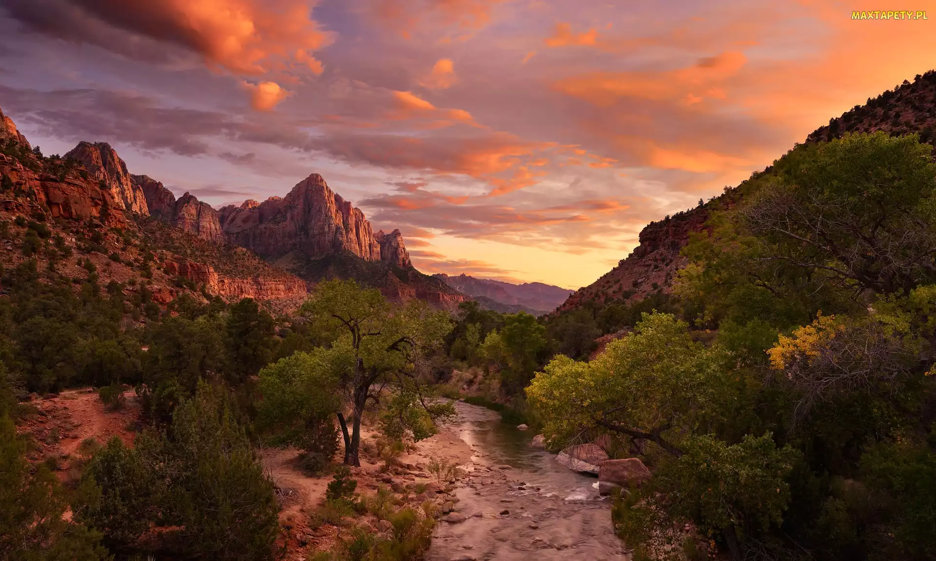 Rzeka, Chmury, Góry, Drzewa, Utah, Virgin River, Stany Zjednoczone, Park Narodowy Zion
