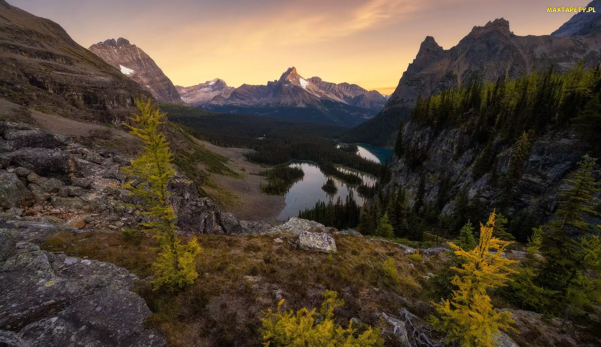 Kolumbia Brytyjska, Mary Lake, Kanada, Jeziora, Góry, Park Narodowy Yoho, Drzewa, Lake OHara