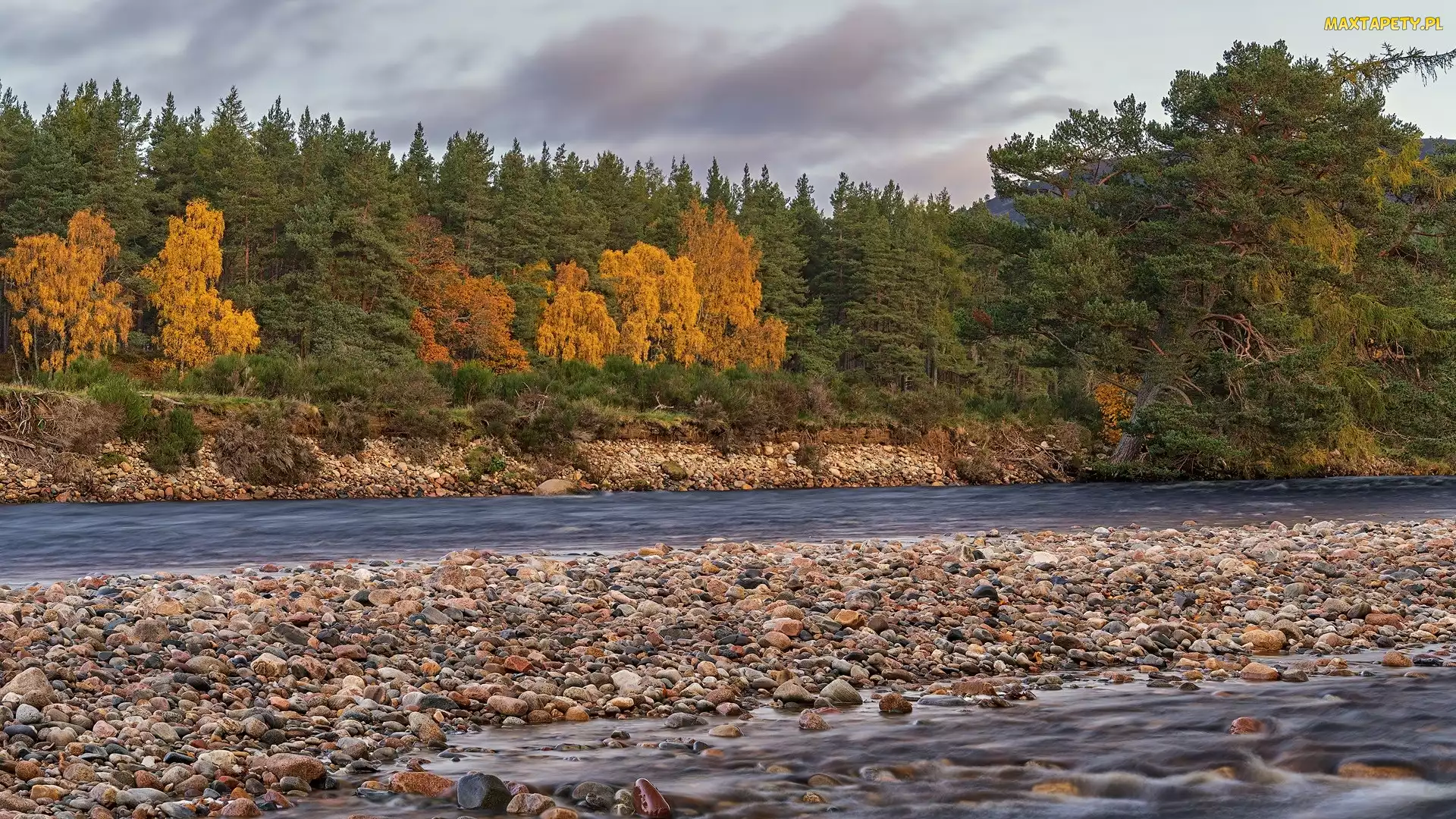 Ballater, Park Narodowy Cairngorms, Kamienie, Szkocja, River Dee, Drzewa, Rzeka