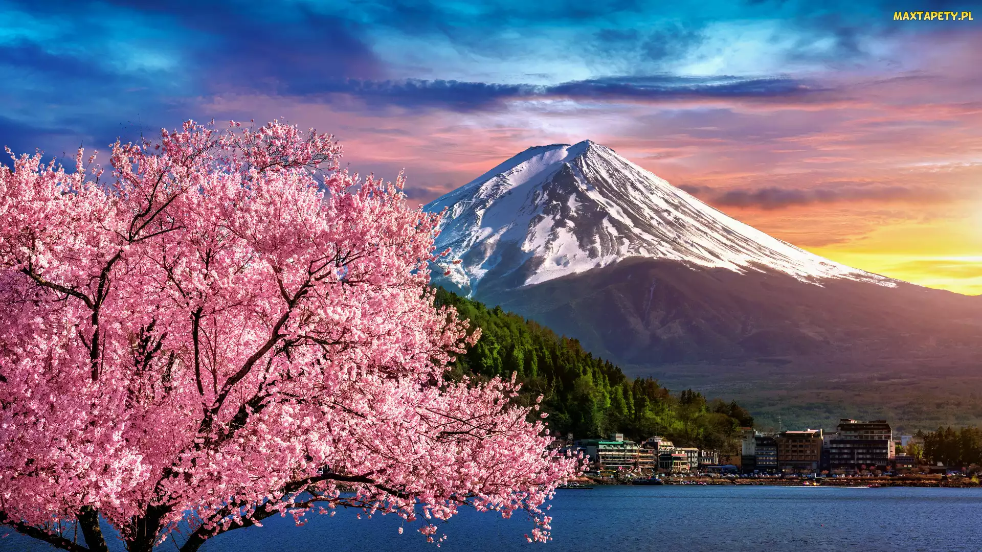 Kwitnące, Stratowulkan Fudżi, Wiosna, Domy, Mount Fuji, Drzewo, Japonia, Góra