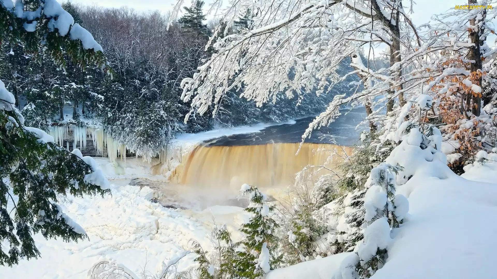 Michigan, Tahquamenon Falls, Śnieg, Stany Zjednoczone, Wodospad, Zima, Drzewa