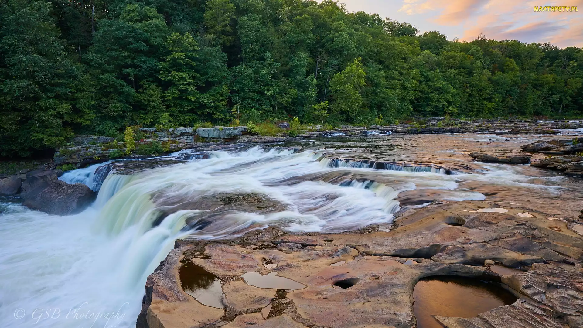 Ohiopyle Falls, Rzeka, Wodospad, Las, Pensylwania, Drzewa, Stany Zjednoczone, Youghiogheny River
