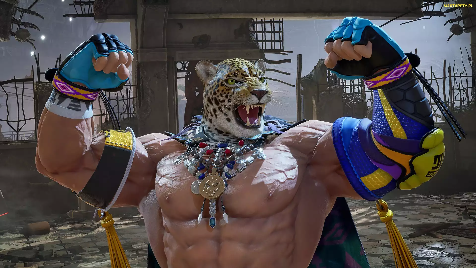 Lampart, Ochraniacze, Rękawice, Maska, Postać, Tekken 8, Mężczyzna, Zawodnik, Gra, Tors
