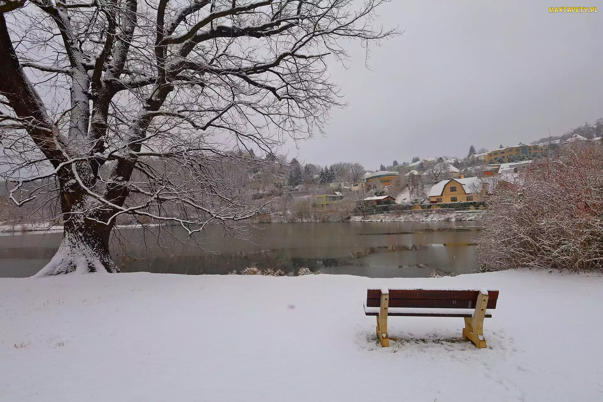 Drzewo, Śnieg, Jezioro, Ławka, Zima