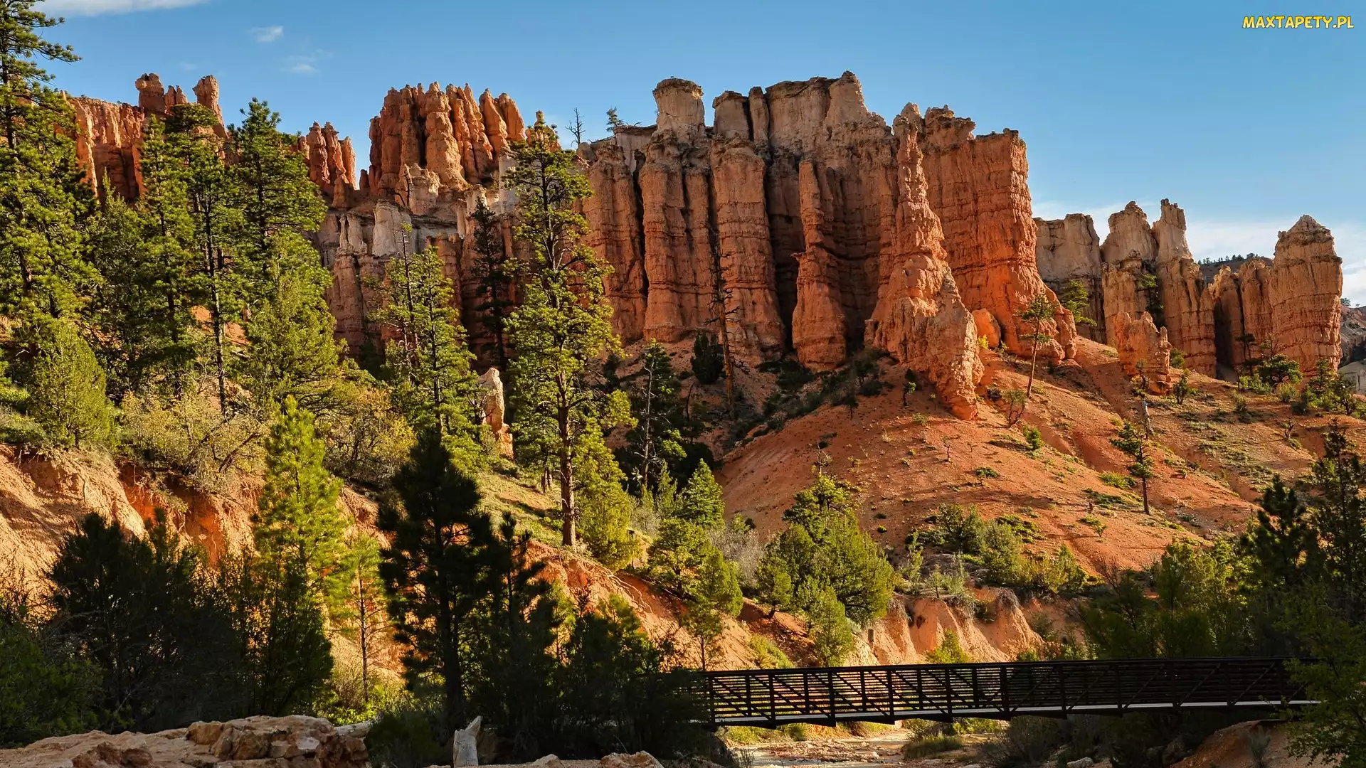 Stany Zjednoczone, Utach, Drzewa, Skały, Most, Park Narodowy Bryce Canyon
