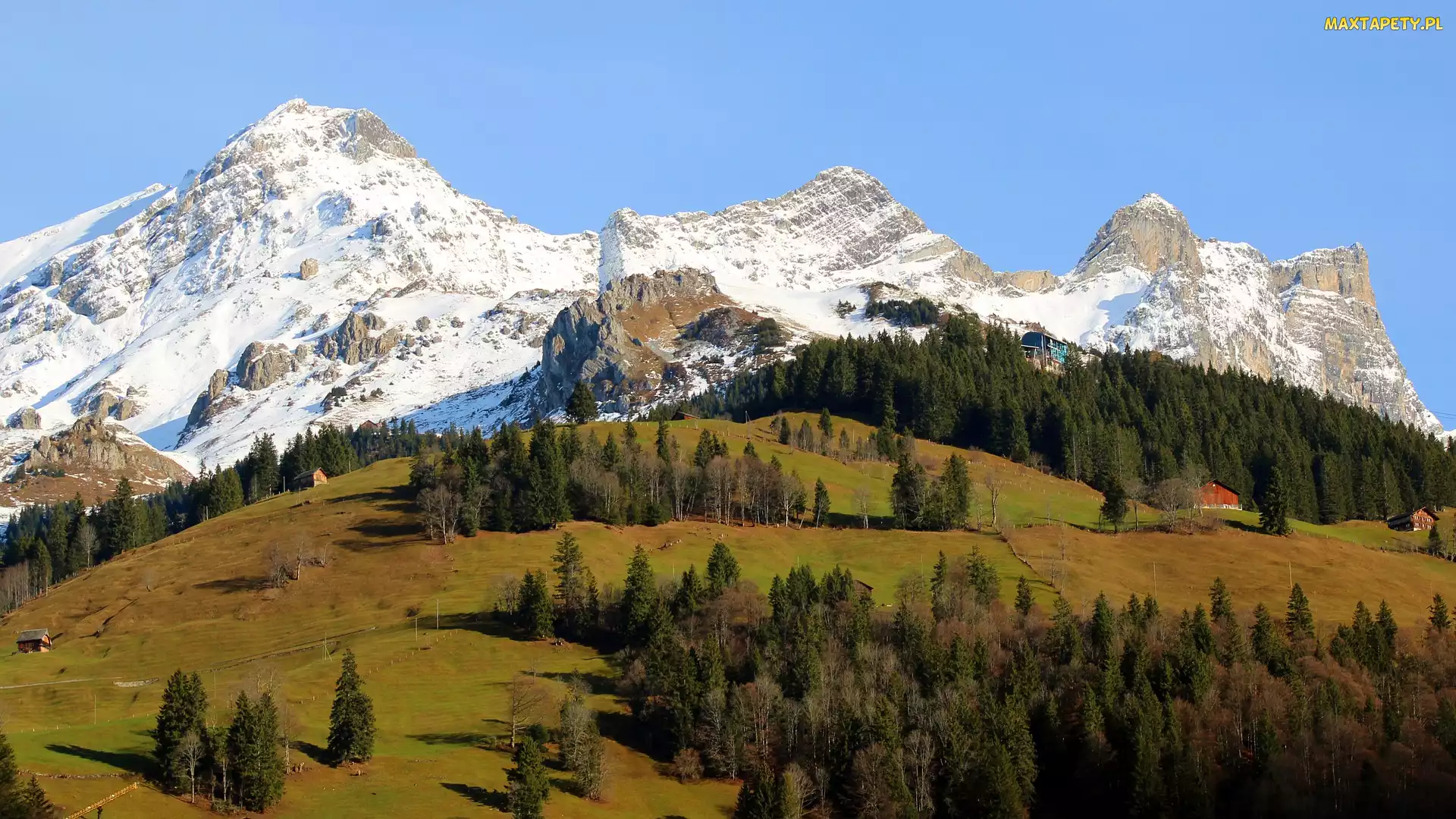 Engelberg, Wzgórze, Alpy, Szwajcaria, Domy, Góry, Drzewa