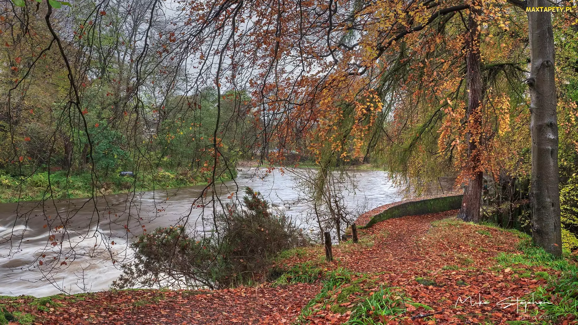 Rzeka Don, Szkocja, Liście, Drzewa, Jesień