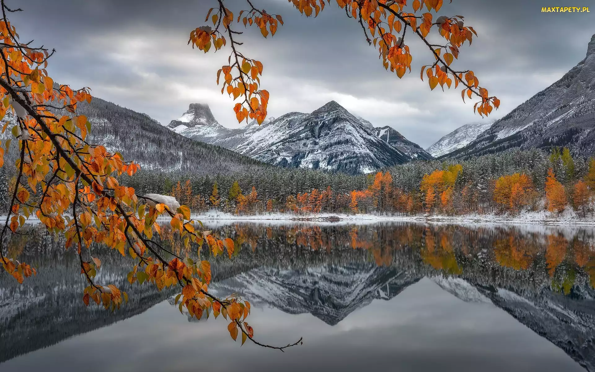 Kanada, Alberta, Jezioro, Góry Skaliste, Drzewa, Park Narodowy Banff