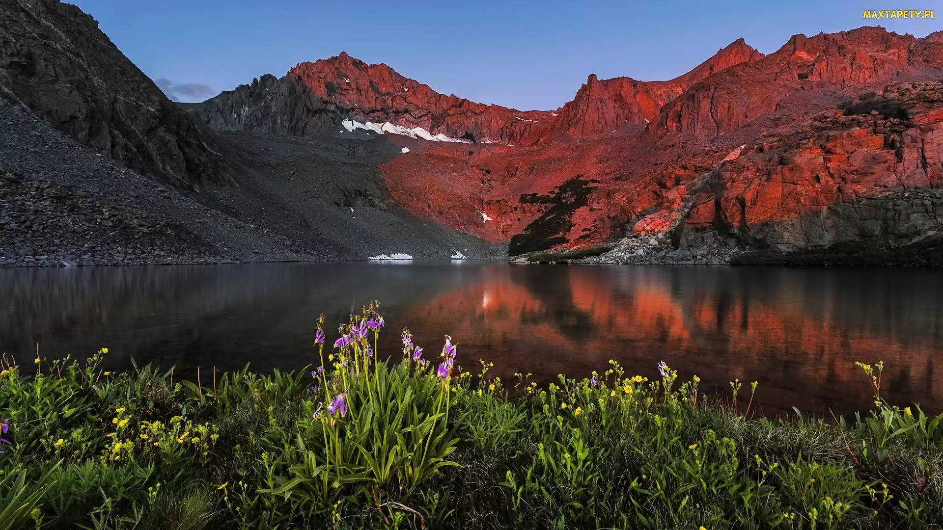 Kalifornia, Birch Lake, Sierra Nevada, Stany Zjednoczone, Jezioro, Góry, Kwiaty