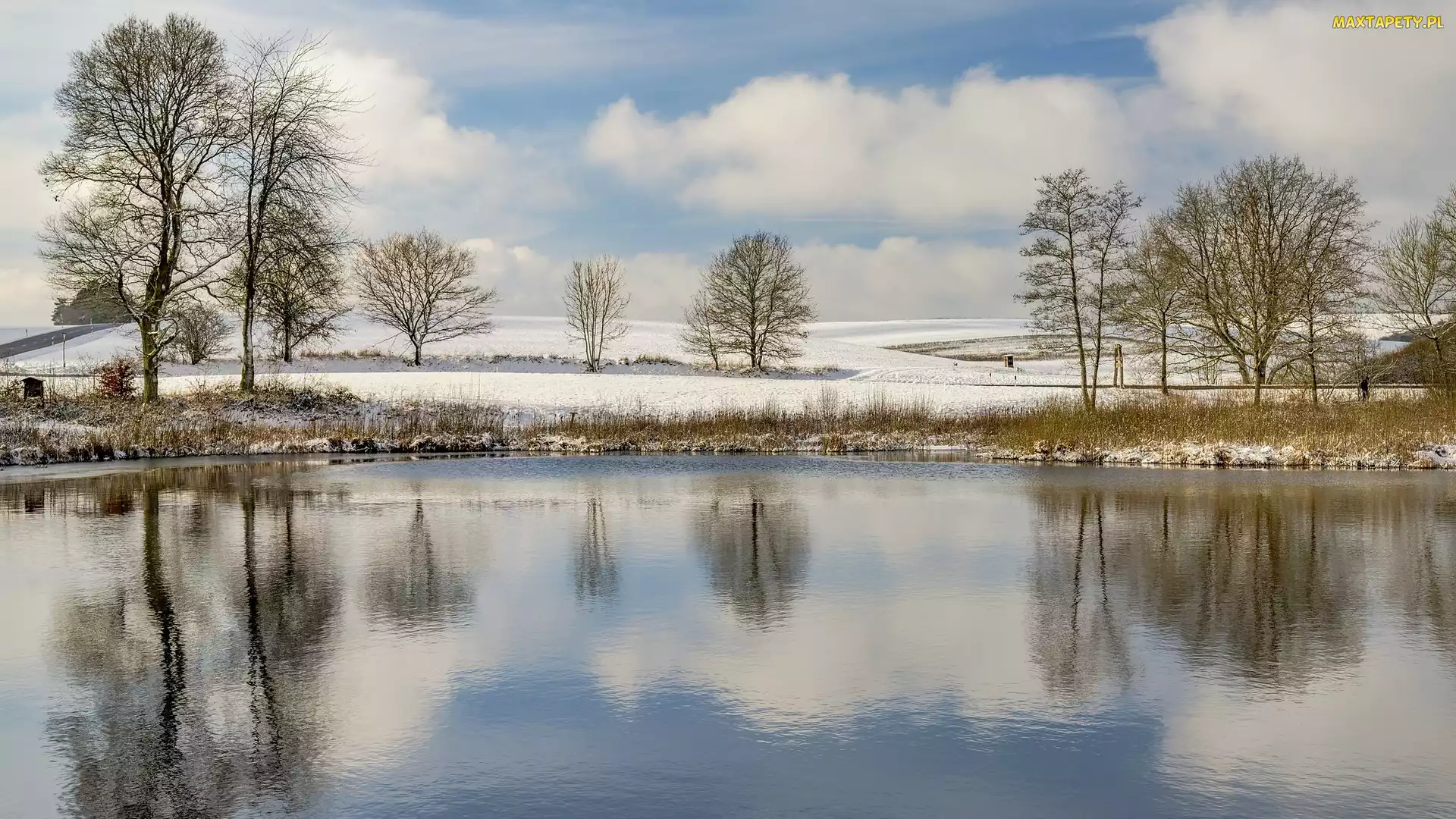 Śnieg, Odbicie, Jezioro, Drzewa, Zima
