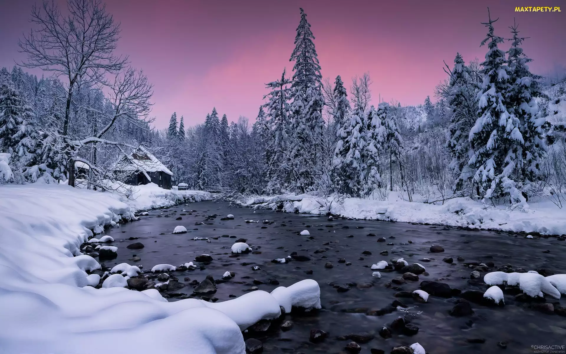 Tatry, Drzewa, Polska, Rzeka, Chata, Zima, Dolina Kościeliska, Ośnieżone