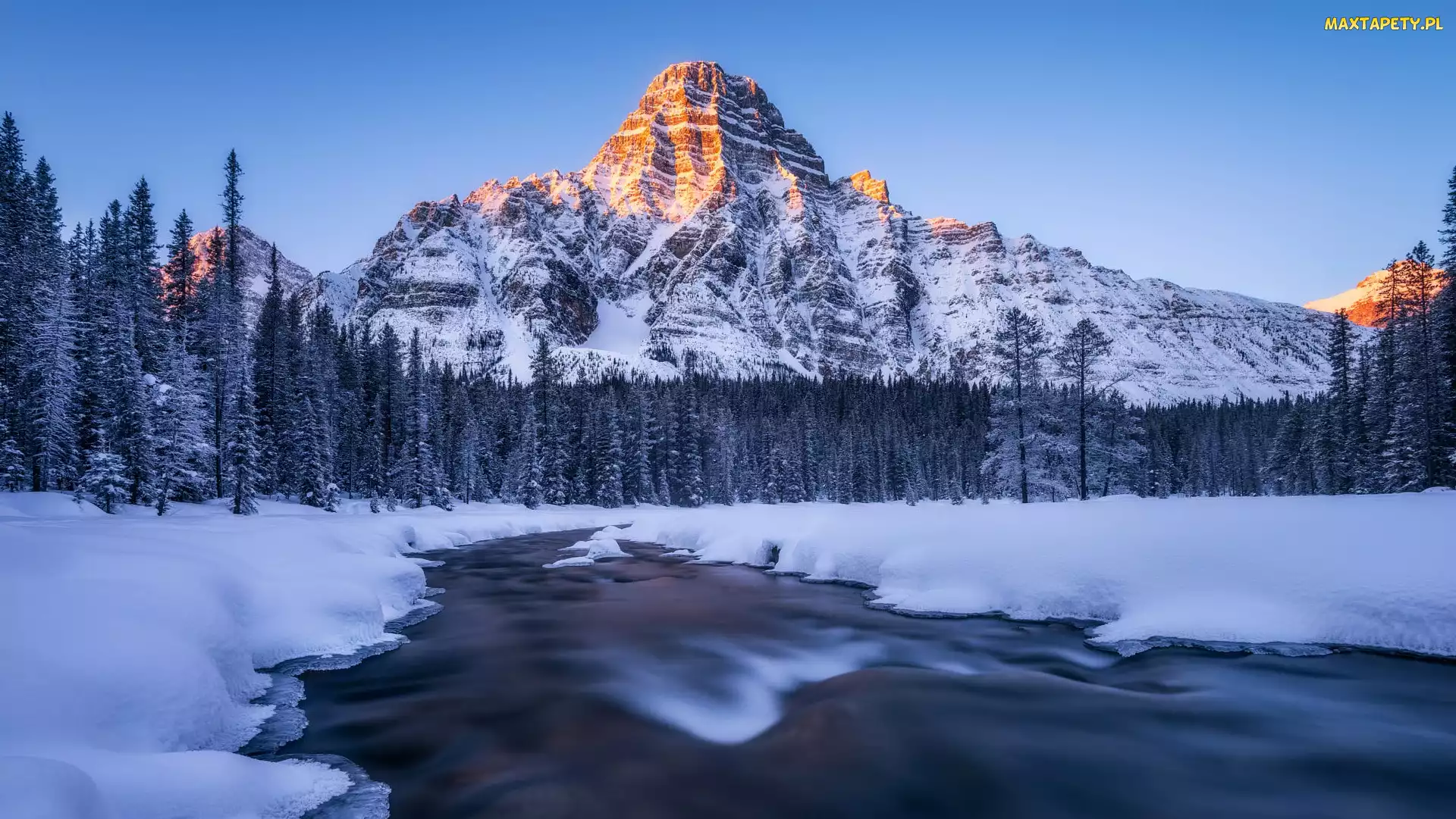 Góry, Drzewa, Zima, Mount Chephren, Park Narodowy Banff, Góra, Kanada, Rzeka