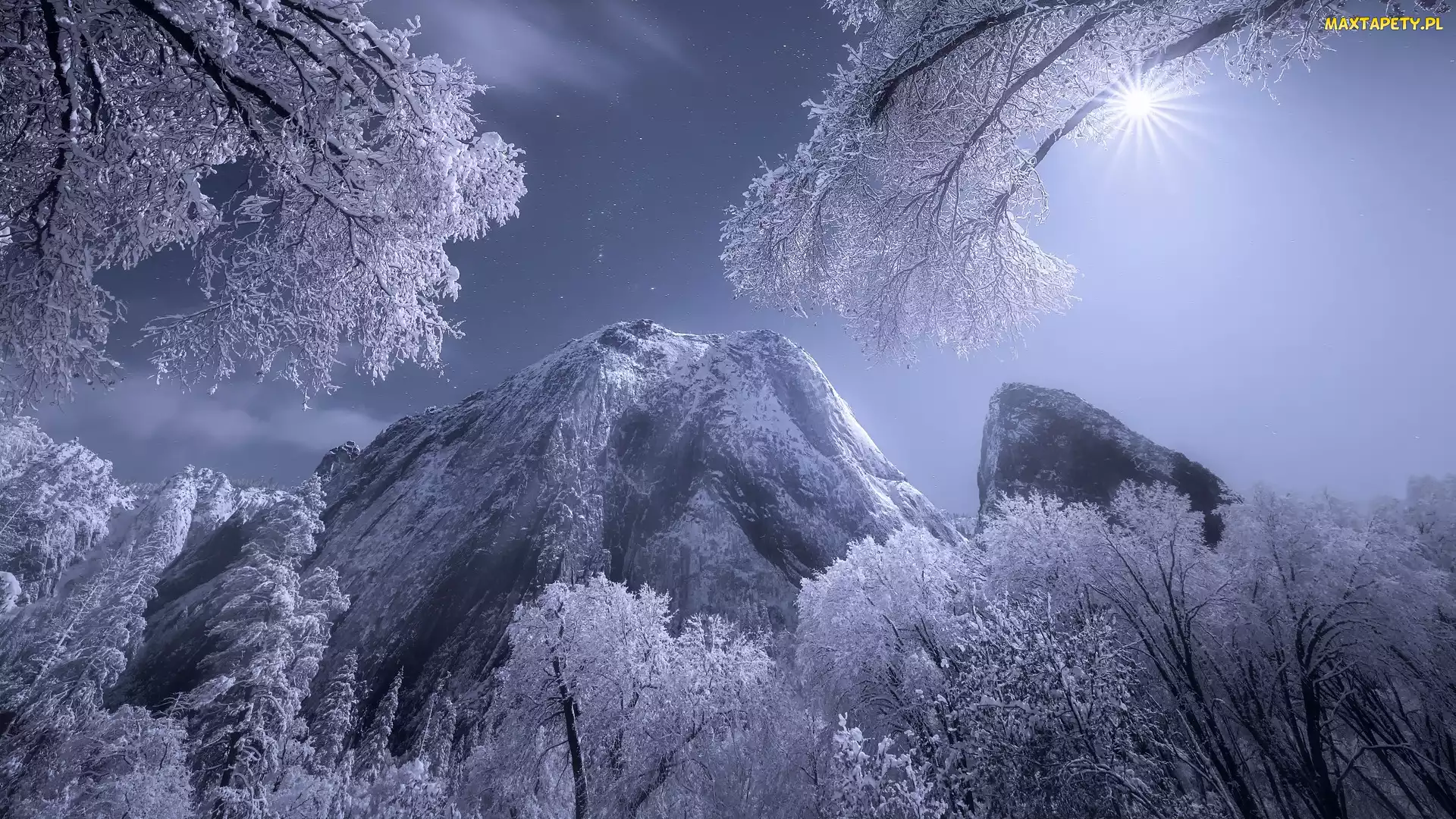 Ośnieżone, Sierra Nevada, Zima, Góry, Kalifornia, Drzewa, Stany Zjednoczone, Park Narodowy Yosemite