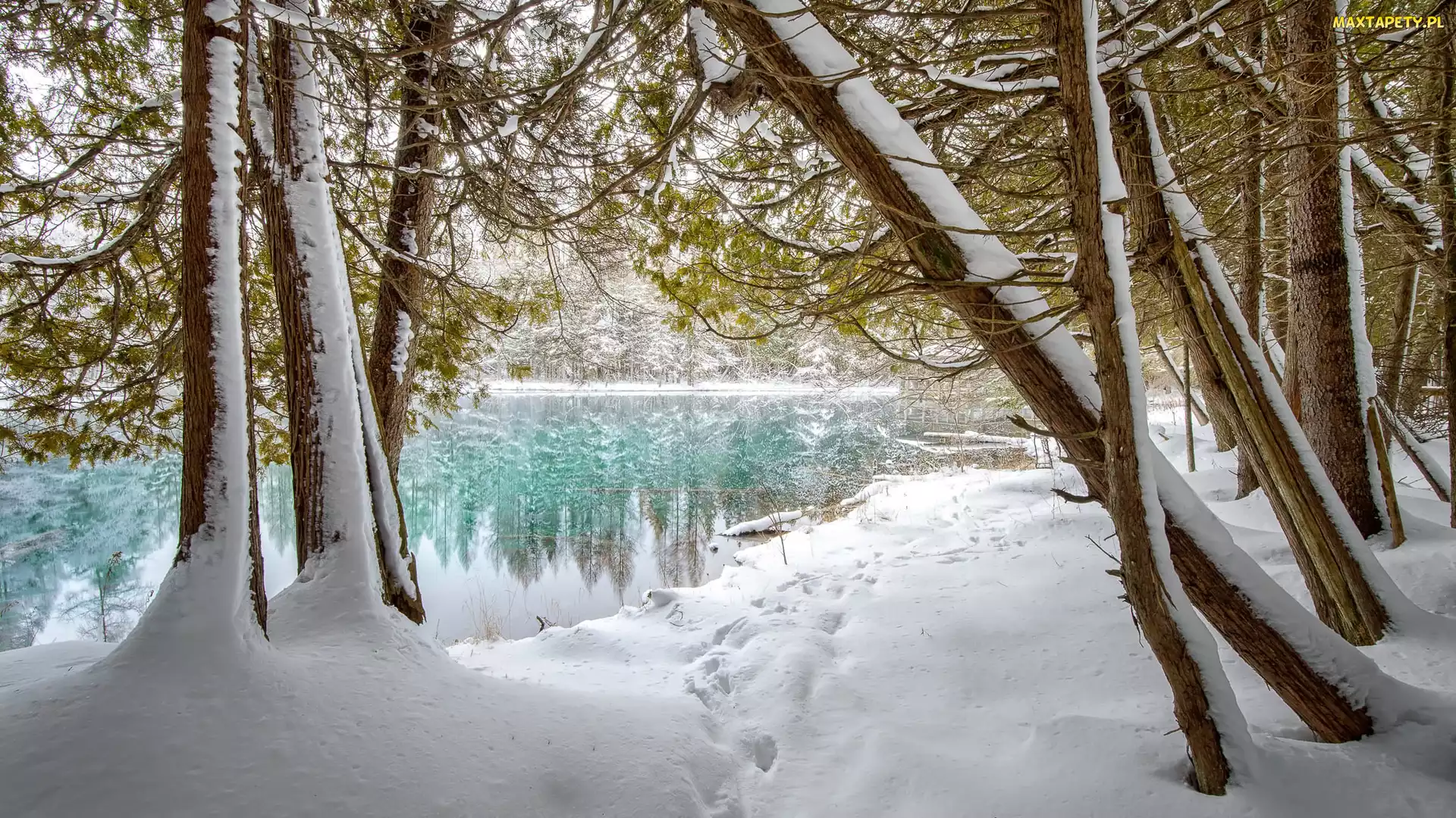 Michigan, Palms Book State Park, Śnieg, Stany Zjednoczone, Drzewa, Zima, Rzeka