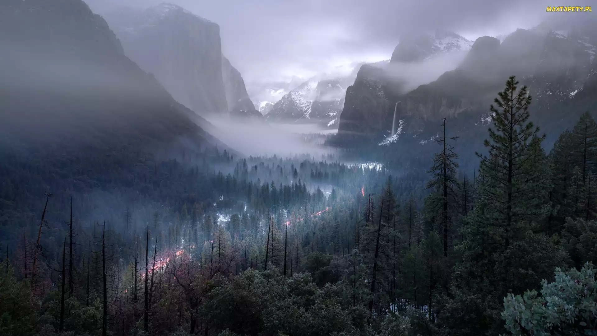 Stany Zjednoczone, Kalifornia, Góry, Drzewa, Mgła, Park Narodowy Yosemite