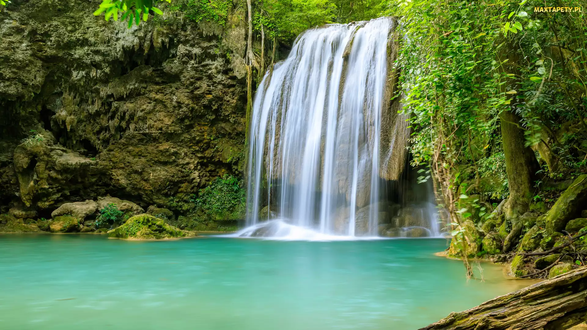 Erawan Waterfall, Rośliny, Wodospad, Korzenie, Prowincja Kanchanaburi, Drzewo, Tajlandia, Park Narodowy Erawan