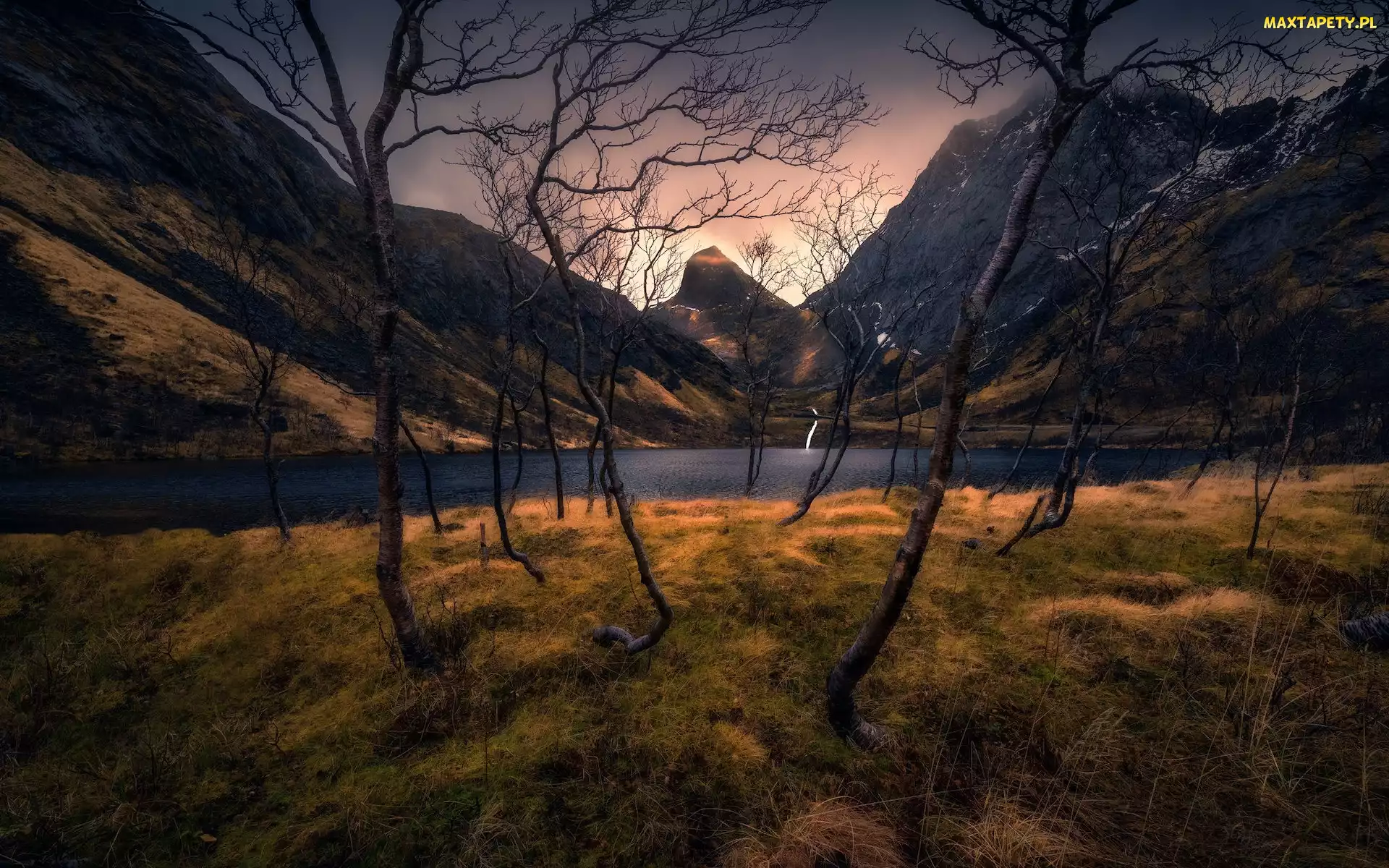Senja, Drzewa, Jezioro, Góry, Norwegia