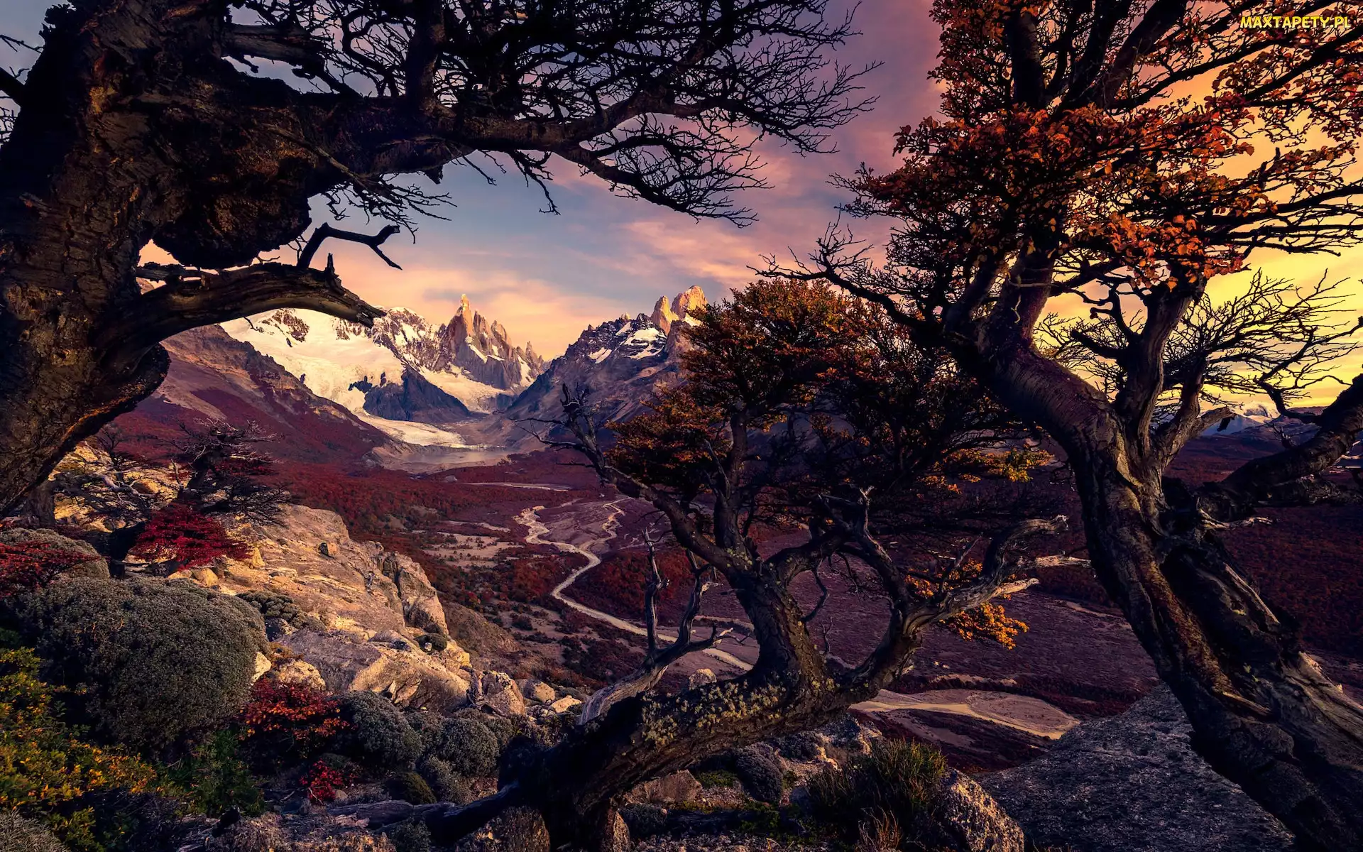 Patagonia, Park Narodowy Los Glaciares, Argentyna, Andy, Droga, Góry, Jesień, Drzewa