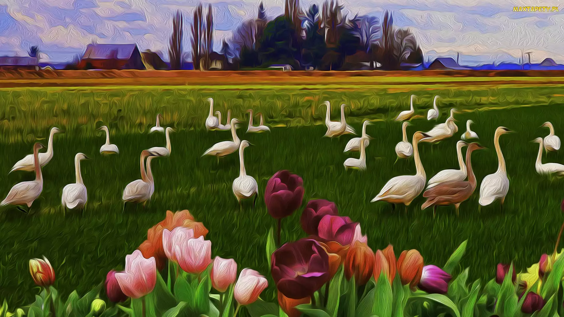 Domy, Tulipany, Kwiaty, Grafika, Kolorowe, Ptaki, Drzewa, Łąka, Trawa