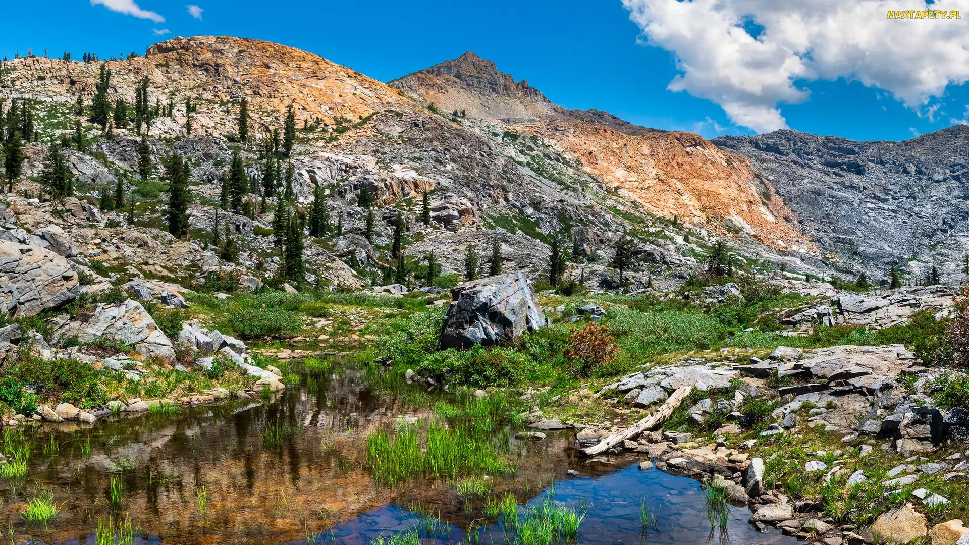 Sierra Nevada Mountains, Kamienie, Góry, Drzewa, Kalifornia, Staw, Stany Zjednoczone, South Lake Tahoe