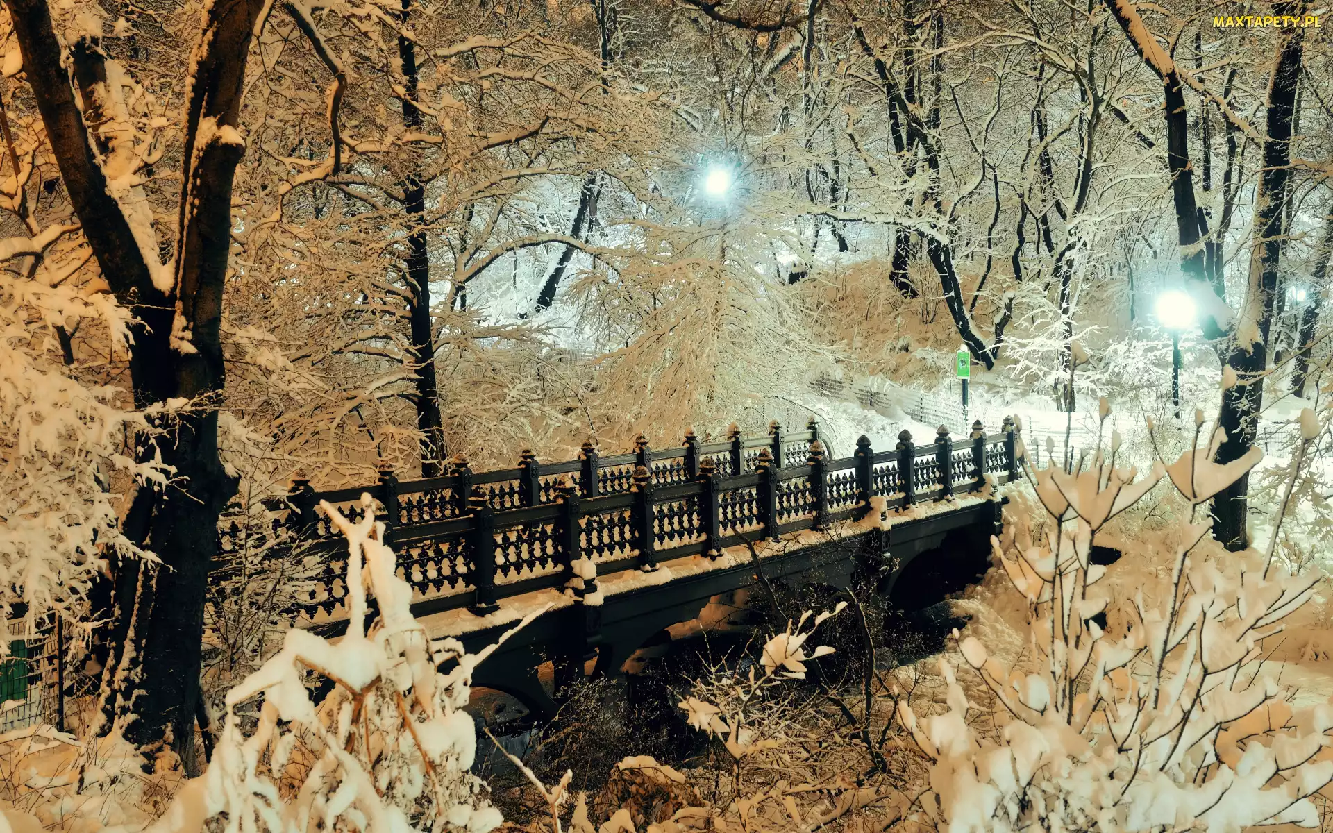 Śnieg, Zima, Most, Drzewa, Park, Most