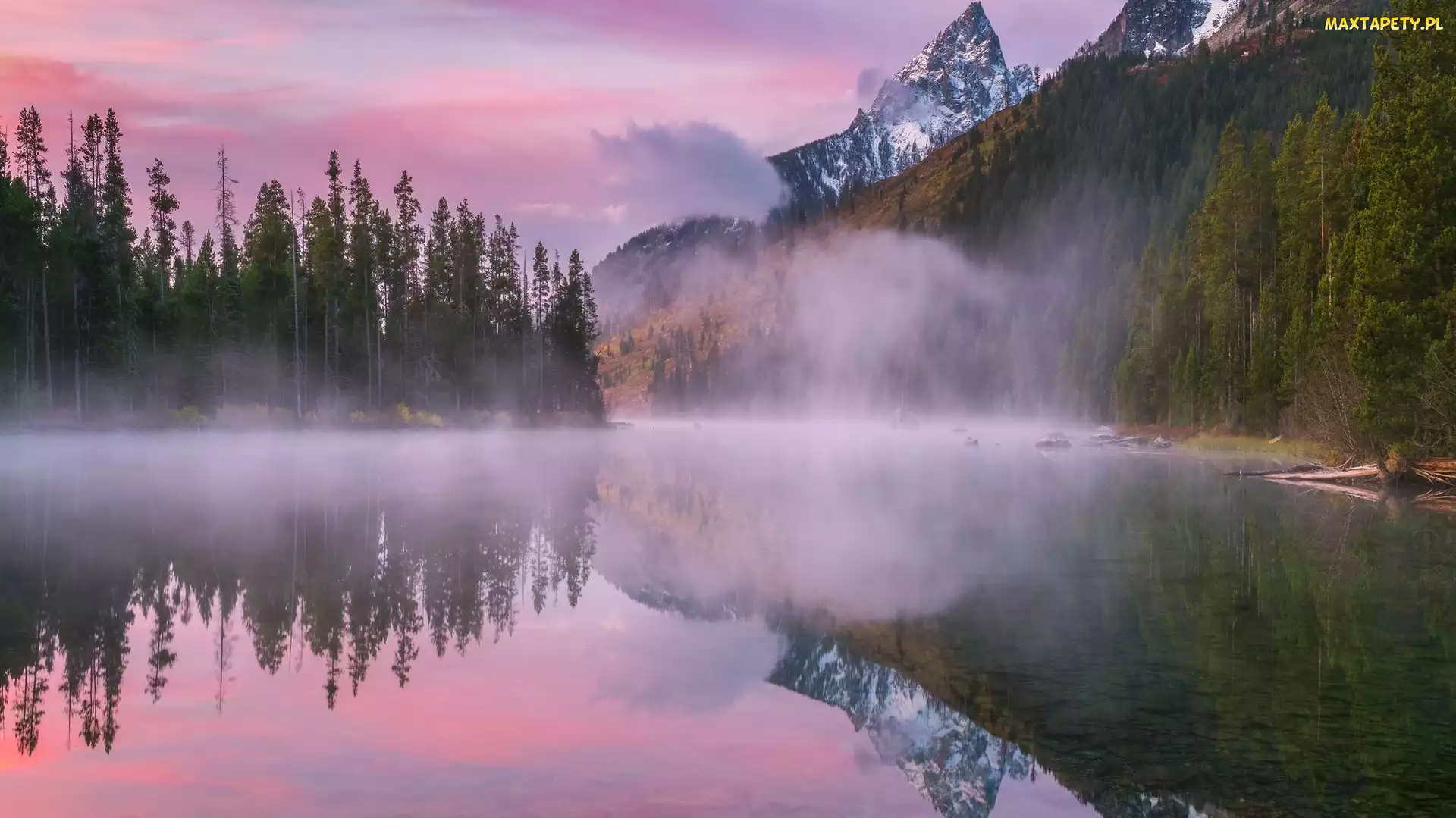 Góry, Stan Wyoming, Mgła, Stany Zjednoczone, Park Narodowy Grand Teton, String Lake, Drzewa, Las, Jezioro