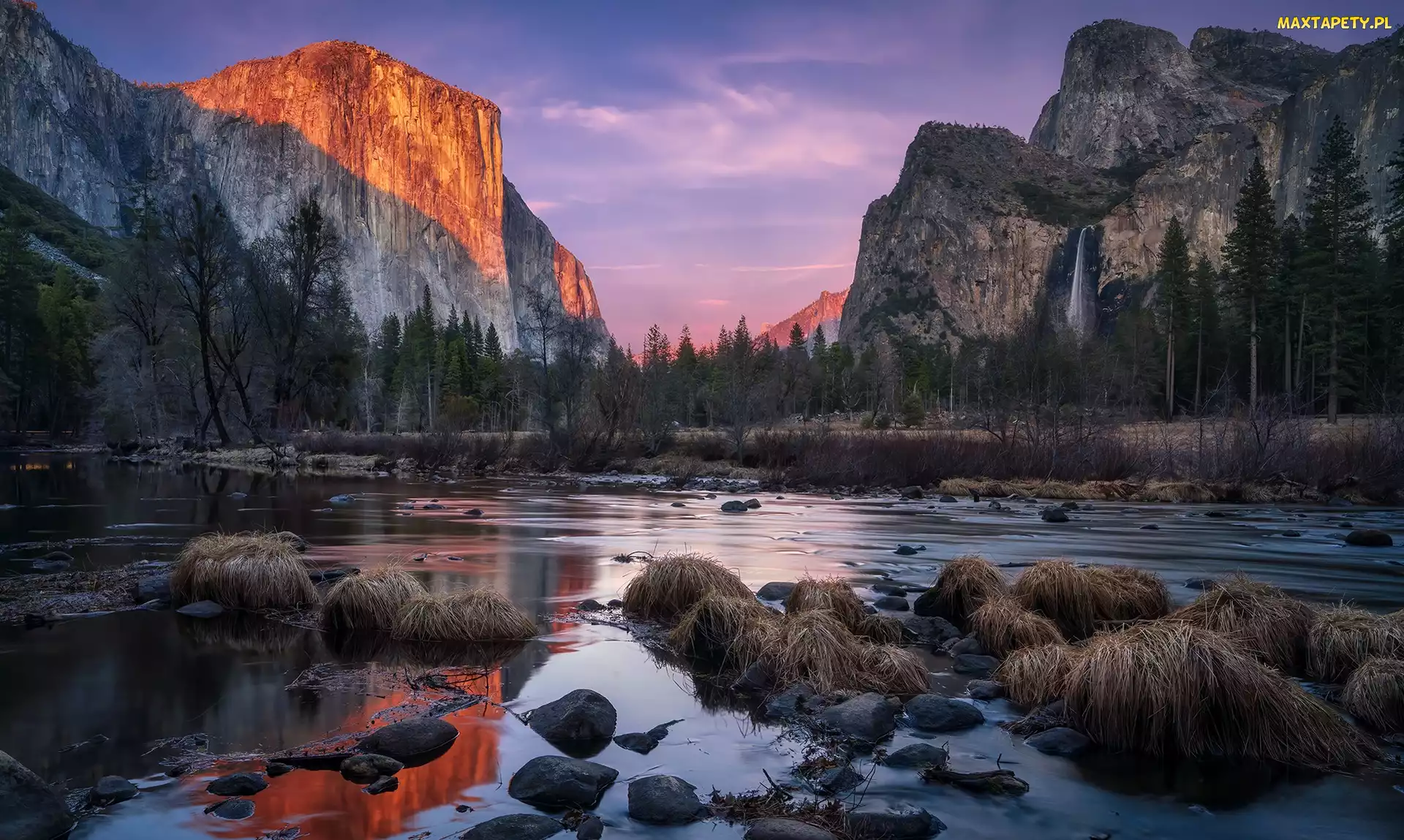 Góry Sierra Nevada, Drzewa, Stan Kalifornia, Stany Zjednoczone, Park Narodowy Yosemite, Rzeka Merced