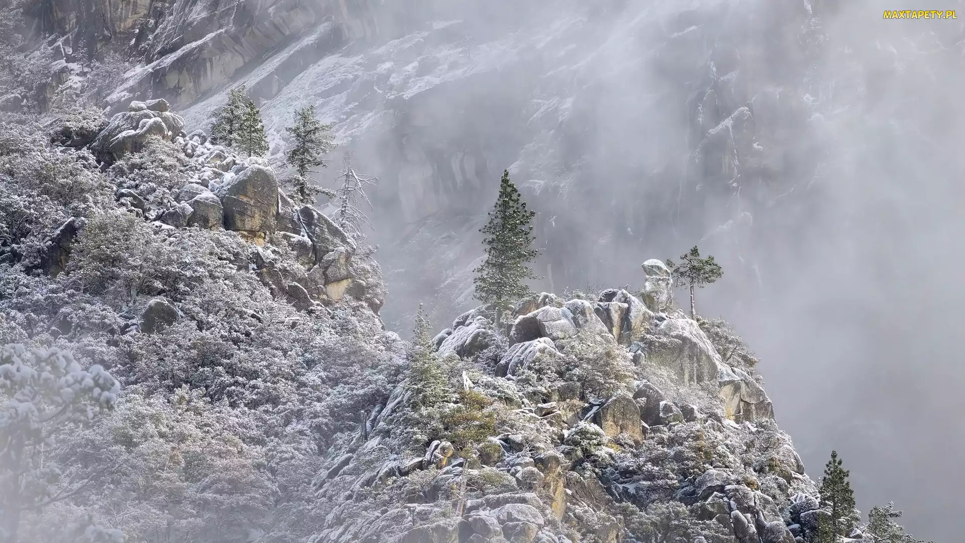 Drzewa, Skały, Kalifornia, Mgła, Góry, Park Narodowy Yosemite, Stany Zjednoczone