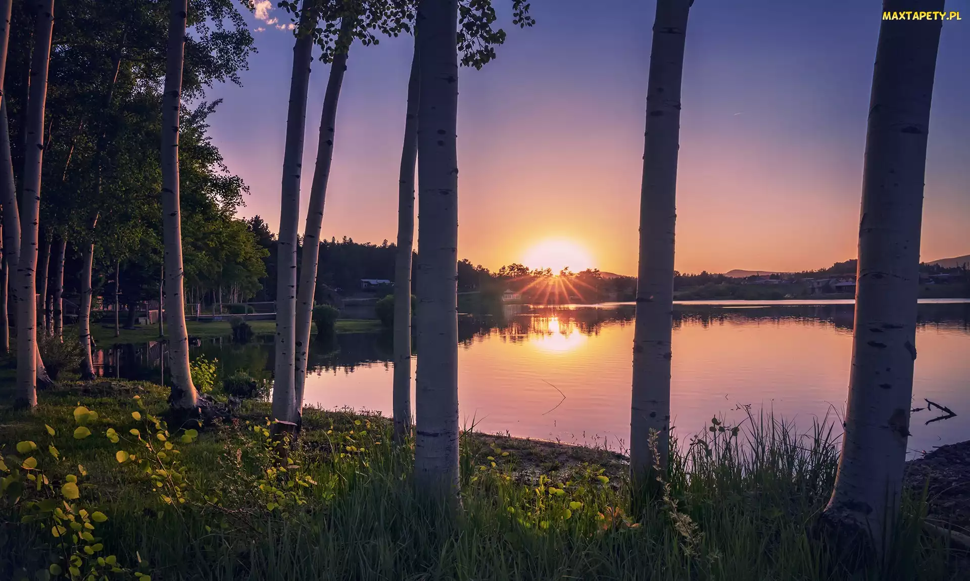Jezioro, Zachód słońca, Kolorado, Stany Zjednoczone, Red Feather Lakes, Drzewa