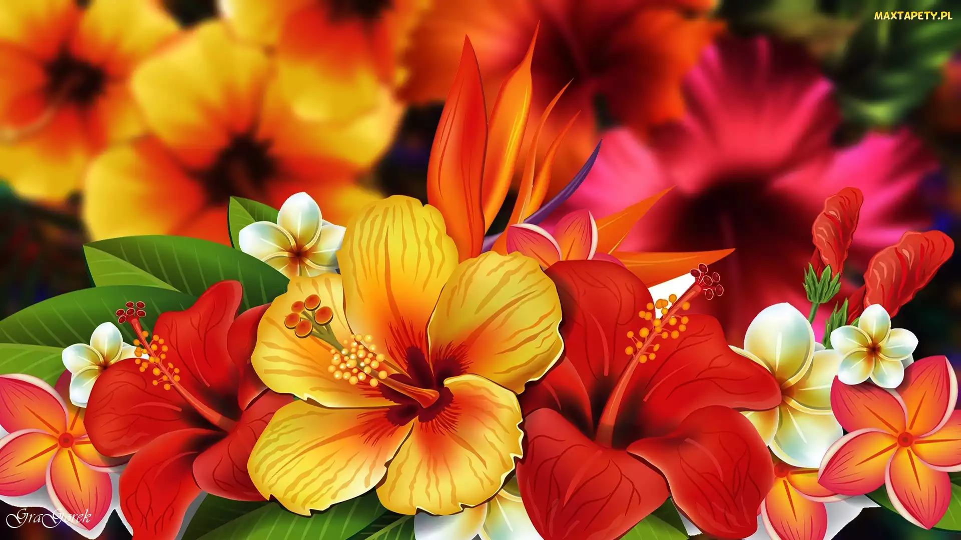 Kwiaty, Grafika, Hibiskusy