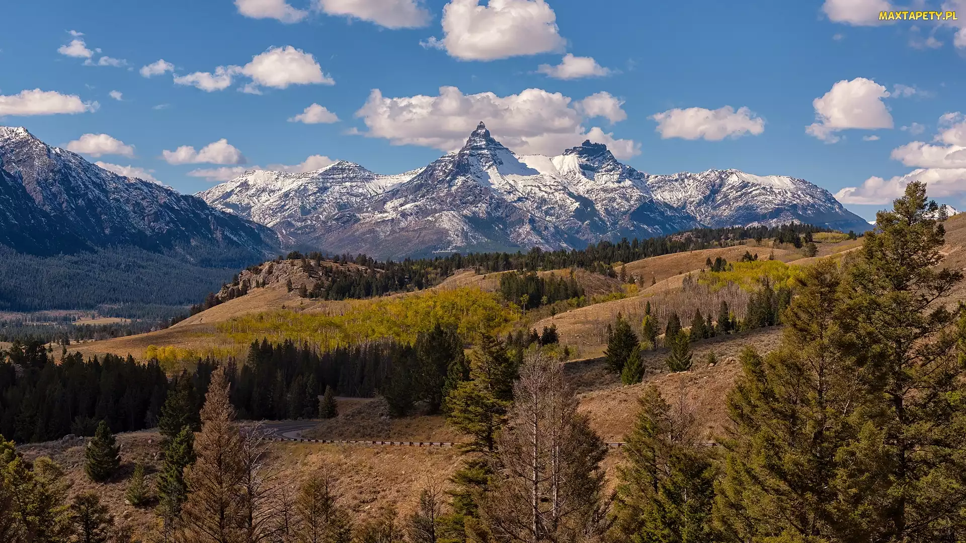 Wyoming, Wzgórza, Absaroka Range, Stany Zjednoczone, Drzewa, Góry, Szczyty