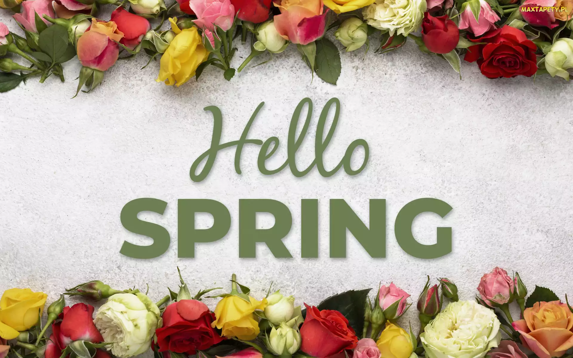 Wiosna, Hello Spring, Kolorowe, Kwiaty, Róże, Napis