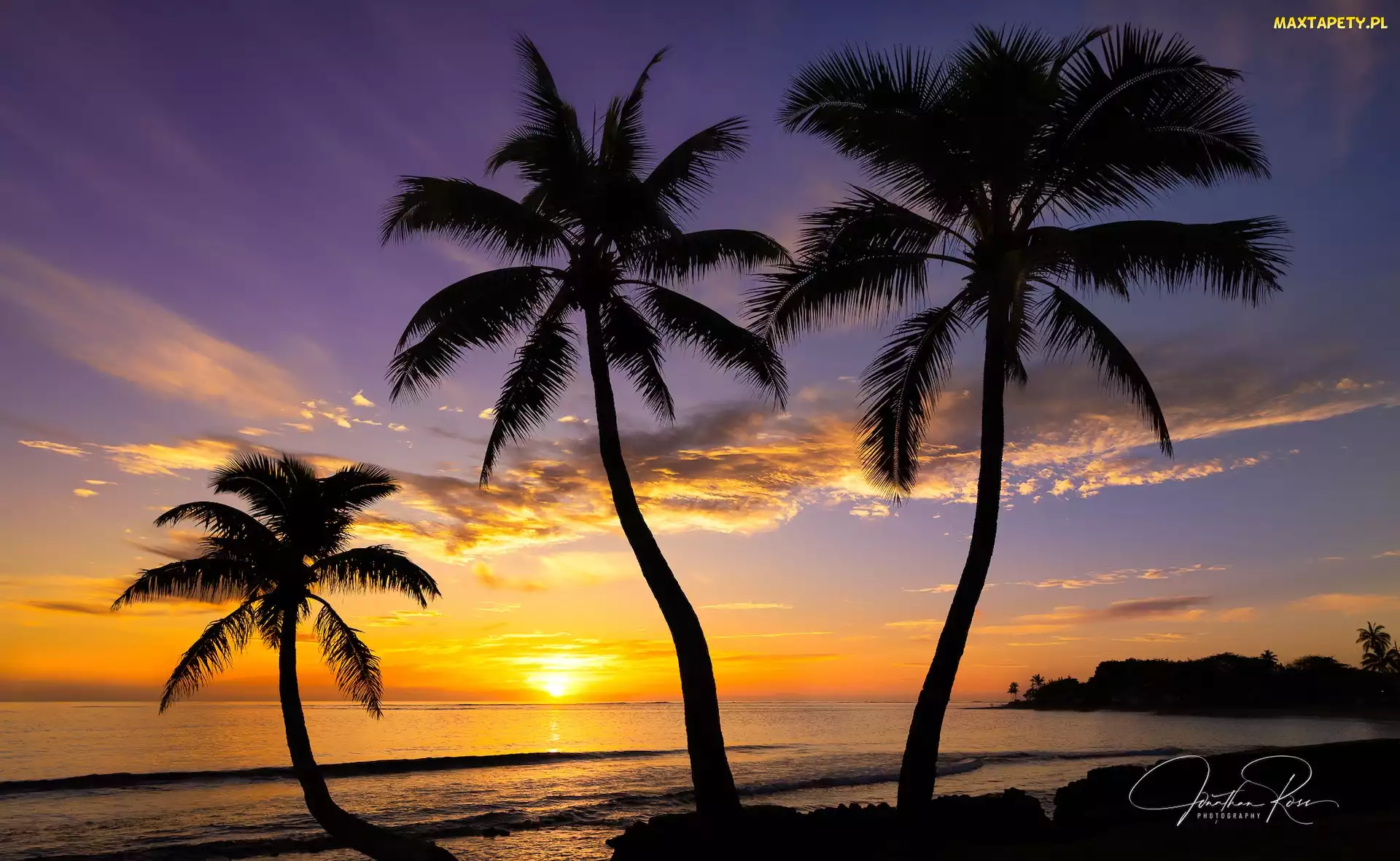 Zachód słońca, Palmy, Hawaje, Stany Zjednoczone, Wyspa Oahu, Morze