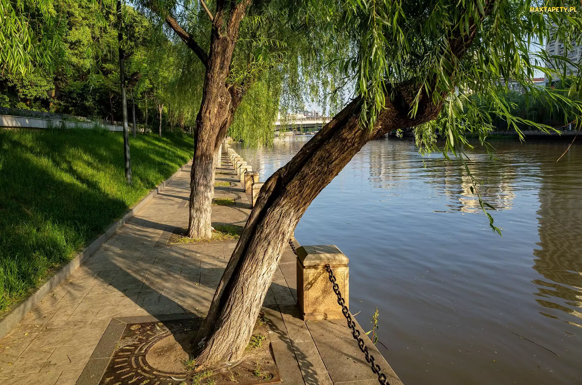 Drzewa, Bulwar, Rzeka