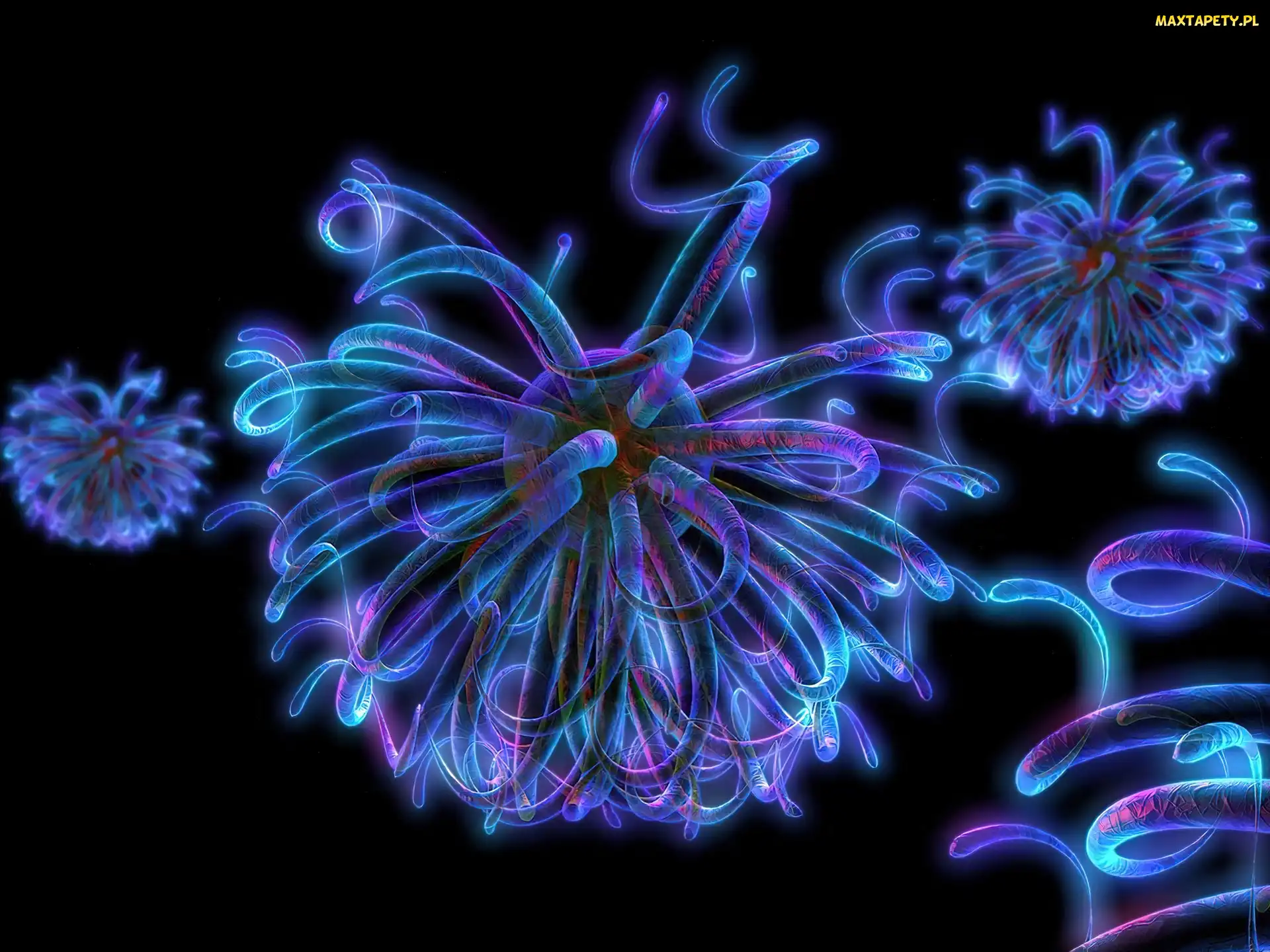 fluorescencyjne, neon, 3D, Wektorowa