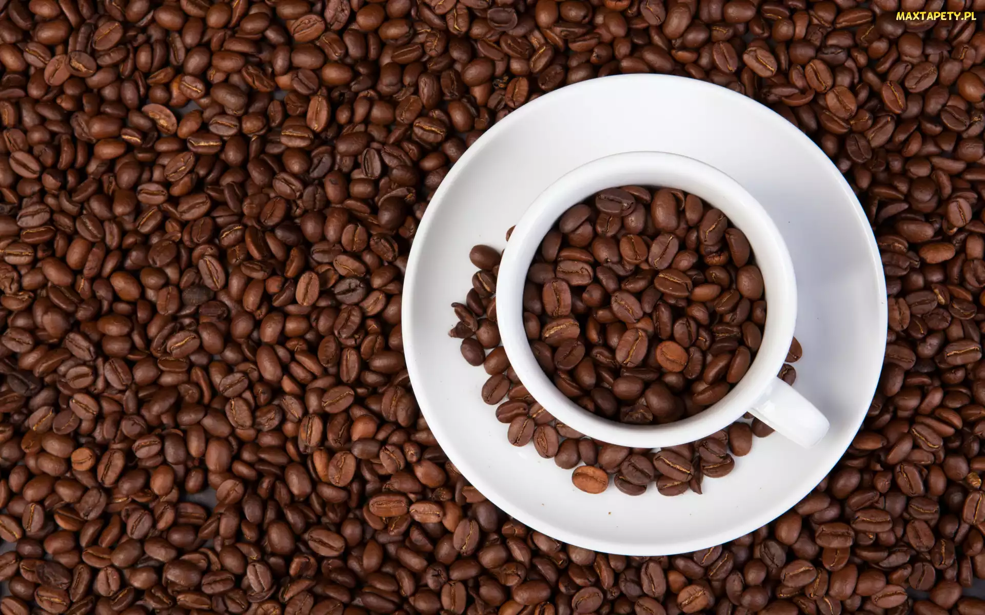Kawy, Ziarna, Filiżanka, Biała, Kawa, Talerzyk