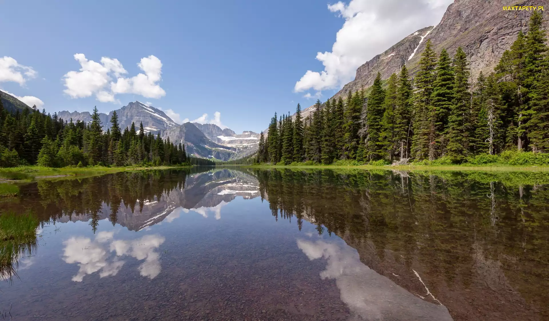 Góry, Swiftcurrent Lake, Stan Montana, Drzewa, Jezioro, Stany Zjednoczone, Park Narodowy Glacier