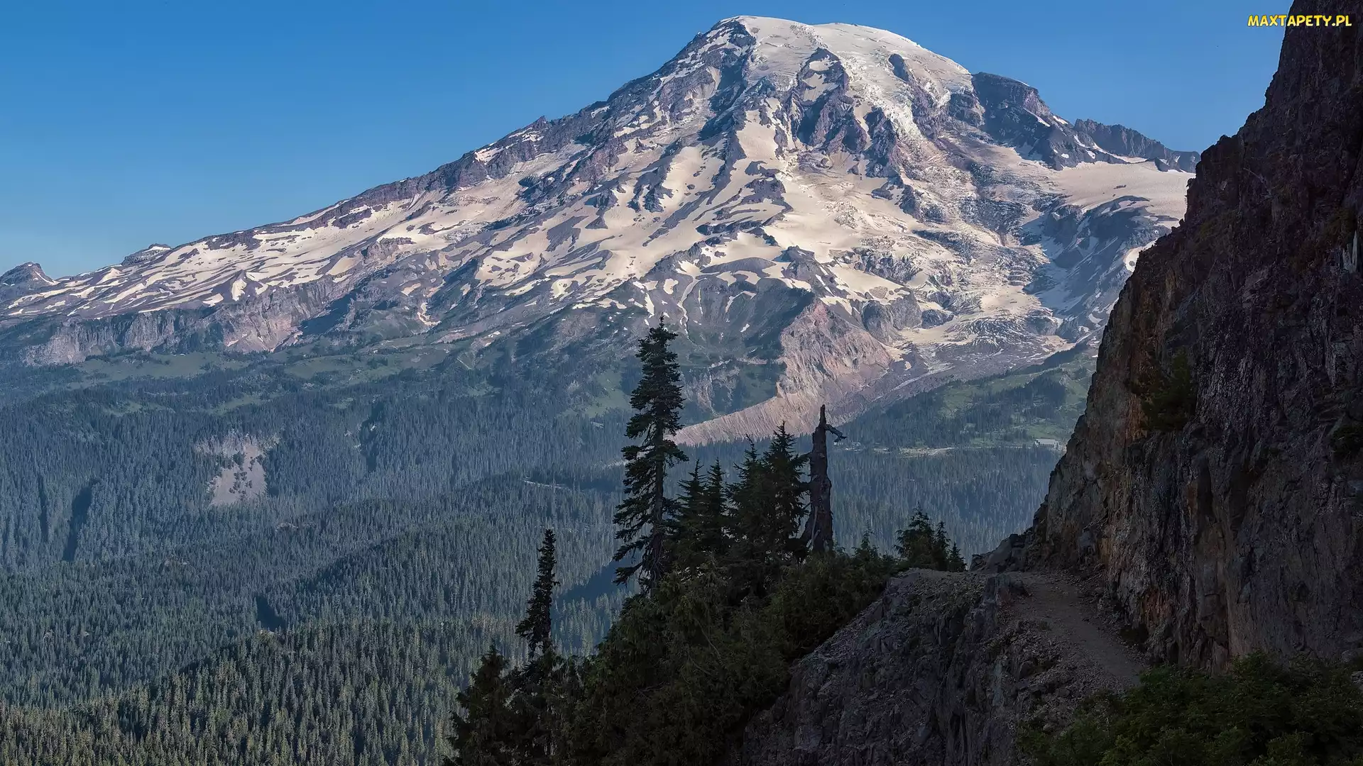 Ośnieżone, Stan Waszyngton, Skały, Stany Zjednoczone, Park Narodowy Mount Rainier, Świerki, Góry, Stratowulkan Mount Rainier, Drzewa
