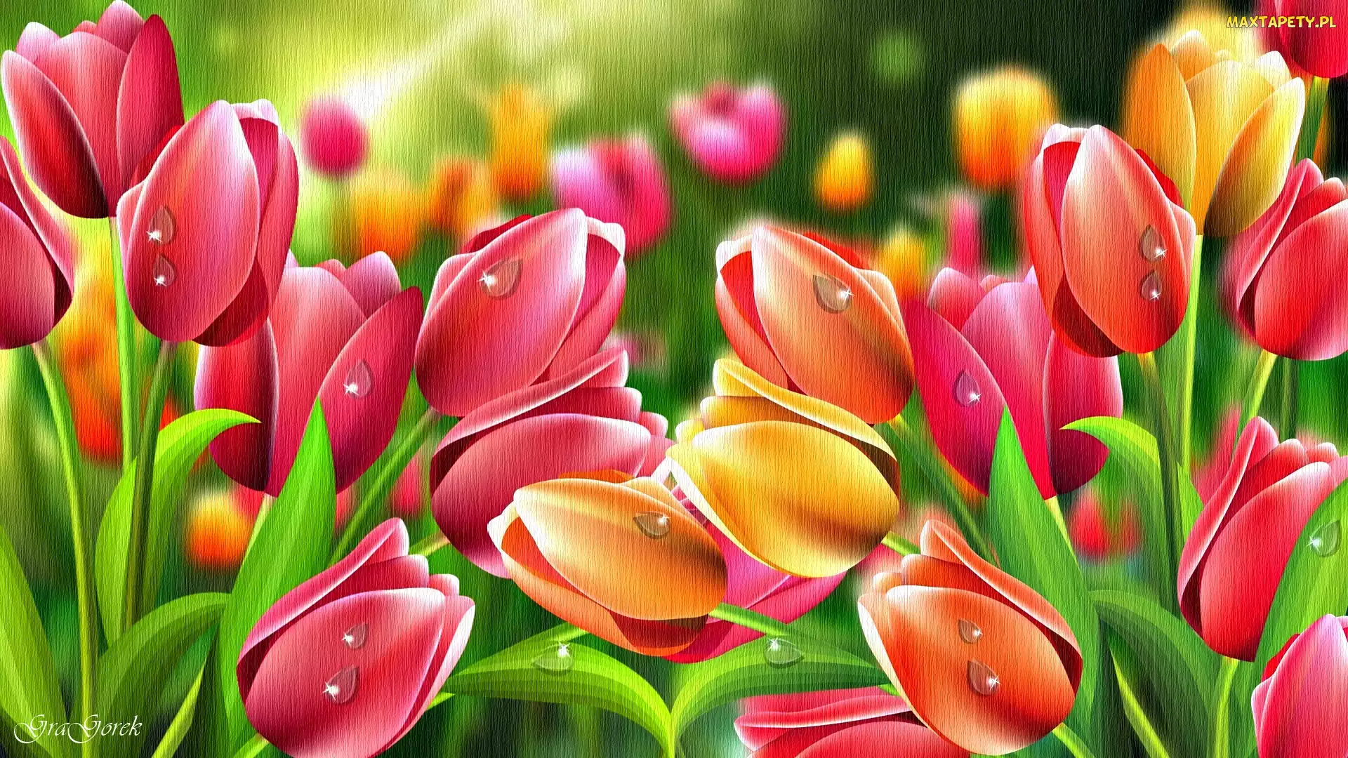 Kwiaty, Grafika, Tulipany