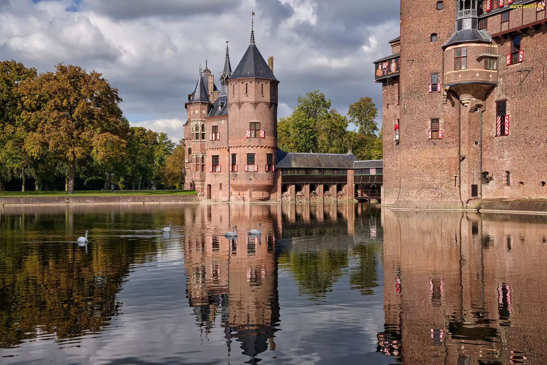Drzewa, Odbicie, Utrecht, Holandia, Zamek De Haar, Staw