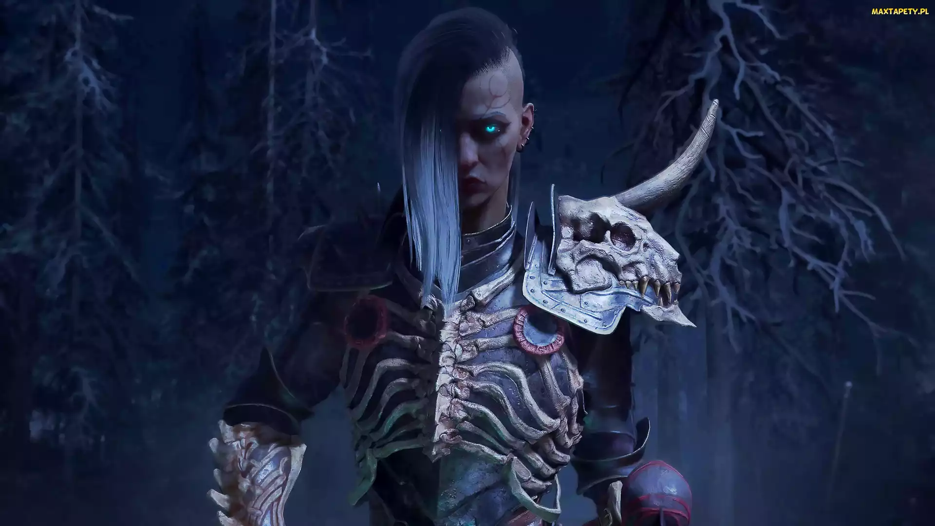 Diablo IV, Mężczyzna, Gra, Necromancer, Szkielet, Postać, Róg, Pancerz