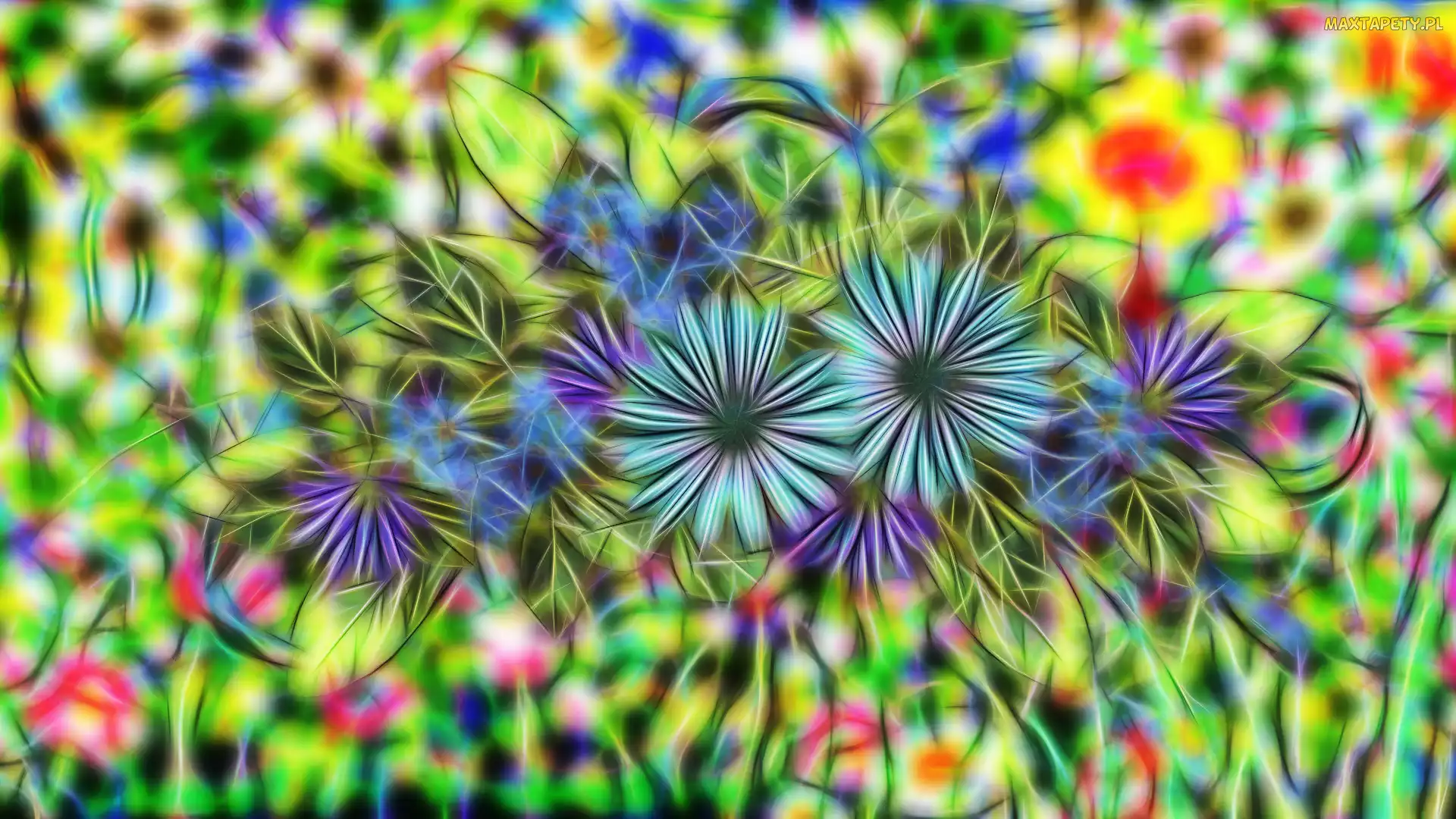 Kwiaty, 2D, Grafika, Fractalius
