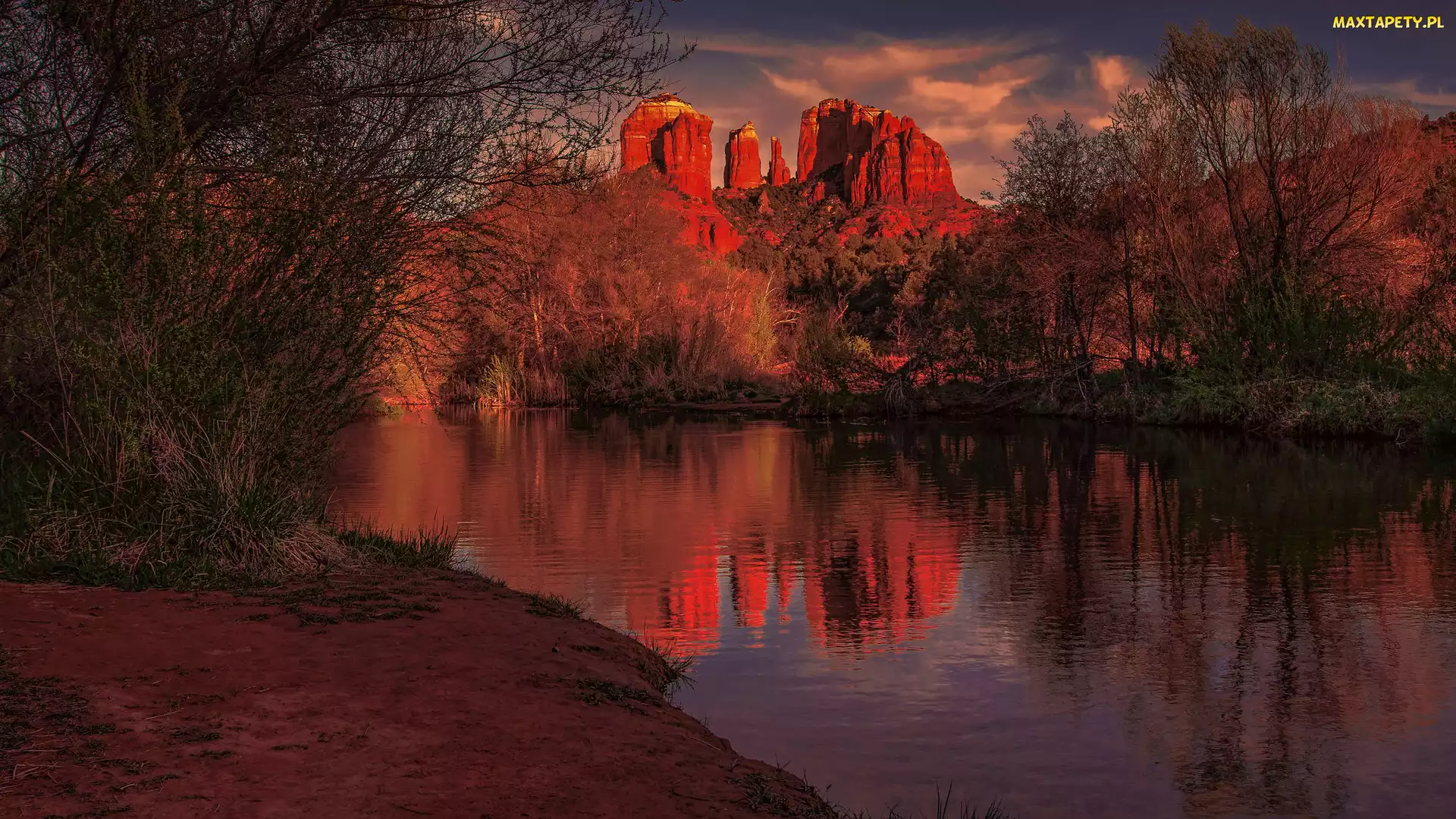 Stany Zjednoczone, Sedona, Odbicie, Arizona, Skały, Czerwone, Cathedral Rock, Rzeka, Góry, Drzewa