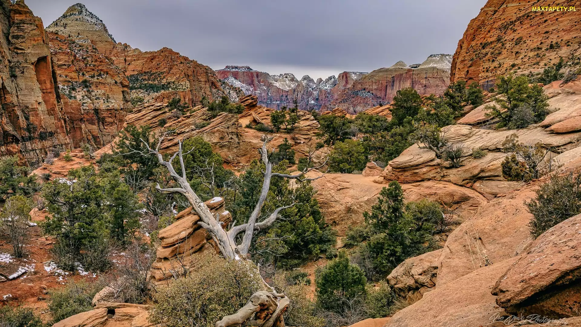 Utah, Skały, Góry, Park Narodowy Zion, Stany Zjednoczone