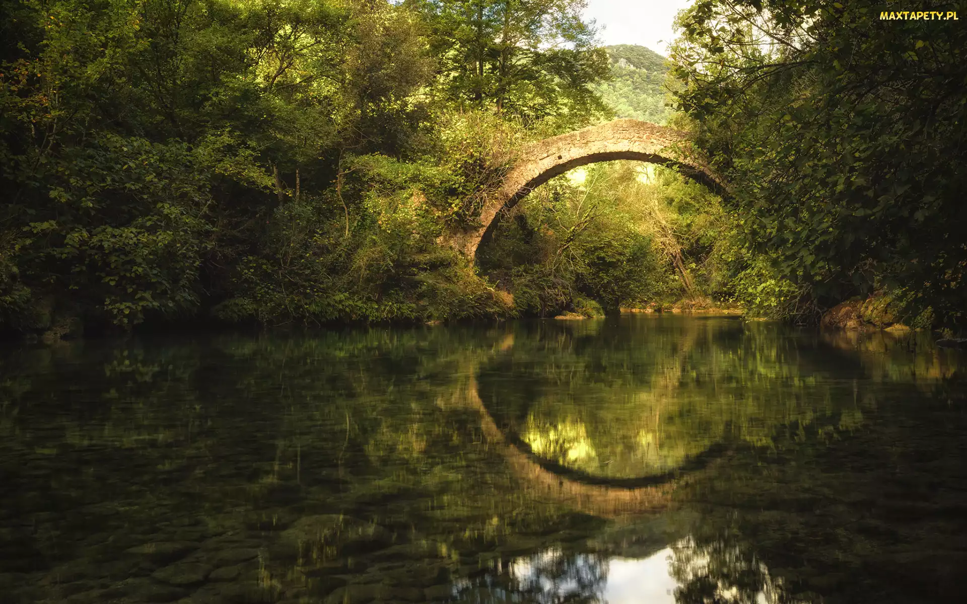 Drzewa, Rzeka Siagne, Las, Pont Des Tuves, Montauroux, Most, Francja, Odbicie