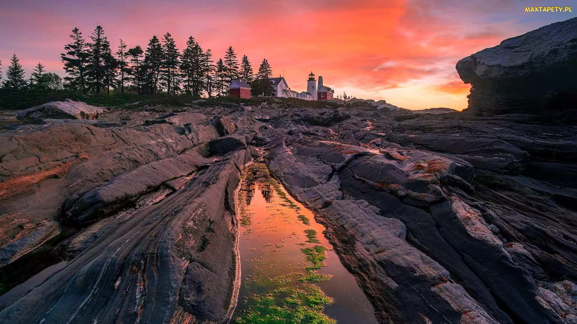 Stan Maine, Zachód słońca, Latarnia morska, Stany Zjednoczone, Drzewa, Skały, Pemaquid Point Lighthouse