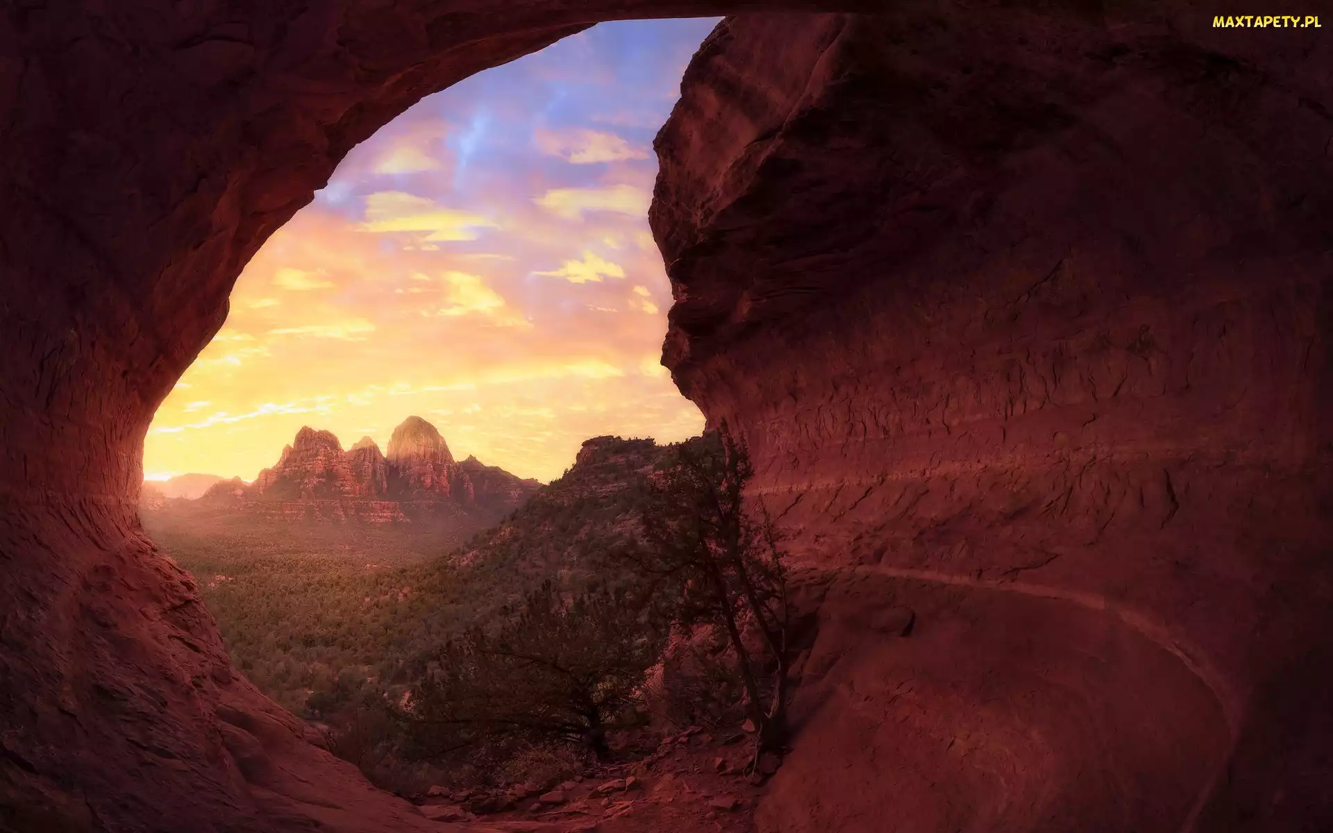 Stany Zjednoczone, Arizona, Góry, Skały, Krzew, Sedona