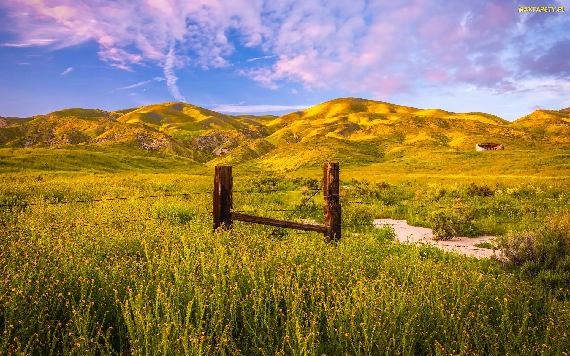 Wzgórza, Kalifornia, Rezerwat przyrody, Stany Zjednoczone, Carrizo Plain National Monument, Ogrodzenie, Góry, Łąka, Kwiaty